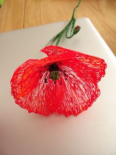 a red flower sitting on top of a white cutting board next to a green string