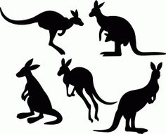 the silhouettes of kangaroos are shown in different positions and sizes, including one with its