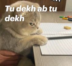 a cat sitting on top of a desk next to a notepad