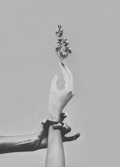 two hands reaching up towards each other holding a plant