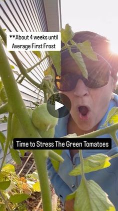 a woman in sunglasses is looking at the camera and has her mouth open as she stands next to a green tomato plant