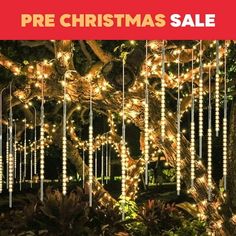 a christmas tree with lights hanging from it's branches and the words pre christmas sale