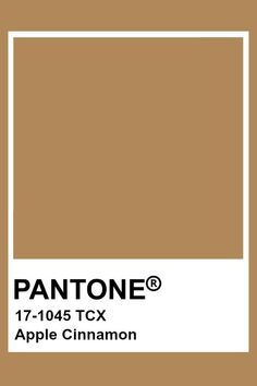 pantone's tan tone is shown with the words, paint on it and an empty