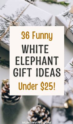 white elephant gift ideas under $ 25