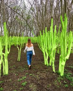 a woman walking through a forest filled with green plants and tall, thin trees in the background