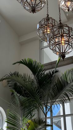 some lights hanging from the ceiling in a room with palm trees and potted plants