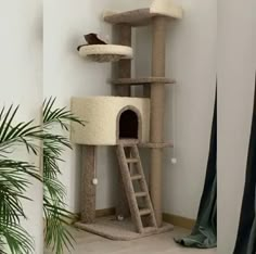 a cat tree in the corner of a room