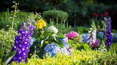 many different colored flowers are in the grass