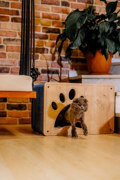 modern cat furniture, cat bed cave, cat bunk bed, cat house, modern cat house, cat house for large cats Cat Bunk Beds, Luna Cat, House Minimalist, Upcycling Design, Wooden Cat House, Niche Chat, Cat Couch, Cat Tree House, Modern Cat Furniture