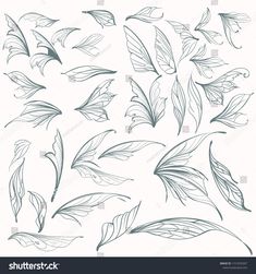 a collection of leaves drawn in ink on white paper stock photo edit to be used as an image