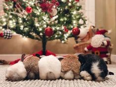 a group of stuffed animals laying next to a christmas tree