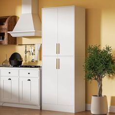 a kitchen with yellow walls and white cupboards next to a potted plant on the counter