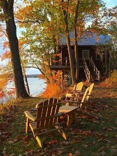 two wooden chairs sitting on top of a grass covered field next to a forest filled with trees