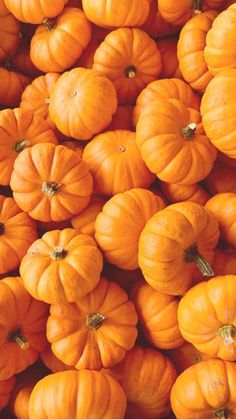 Beautiful Pumpkin patch  pile of delicious-looking pumpkins October Calendar Wallpaper, Pumpkin Scent, Diy Skin Care Recipes, Halloween Wallpaper Iphone