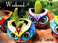 three colorful pots with plants in them and the words weekend written on top of it