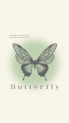 a book cover with the words butterfly on it