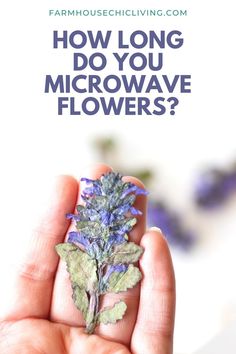 a hand holding a flower with the words how long do you microwaveflowers?