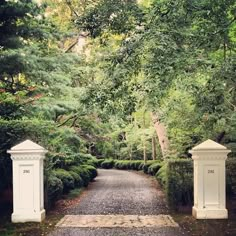 two white pillars sitting on top of a gravel road in the middle of a forest