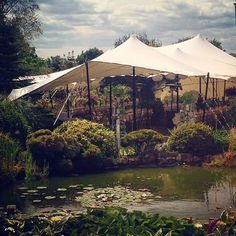 several tents are set up in the middle of a pond and surrounded by greenery