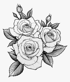 three roses with leaves are shown in this black and white tattoo art print on paper