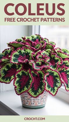 a crochet potted plant sitting on top of a window sill with the words, coleus free crochet patterns