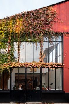 a red building with lots of windows and plants growing on it