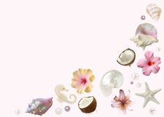 various shells and flowers are floating in the air on a light pink background with bubbles