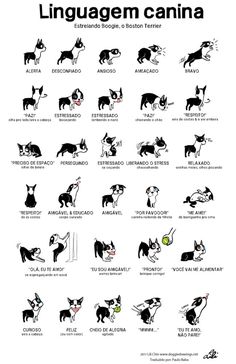 an image of cats and dogs in japanese