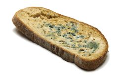 a piece of bread with blue cheese on it