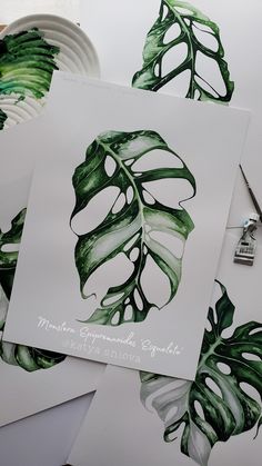 some green leaves on white paper next to scissors