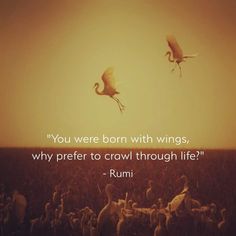 two birds flying in the sky with a quote from rumi above them that reads you were born with wings, why prefer to crawl through life?