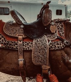 a brown and black horse with leopard print on it's saddle sitting in front of a trailer