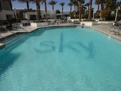 an empty swimming pool surrounded by palm trees