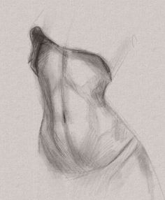 a pencil drawing of a woman's torso