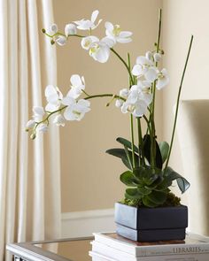 a white orchid plant sitting on top of a stack of books