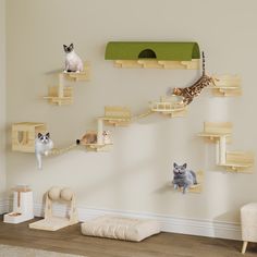 there are many cats on wooden shelves in the room