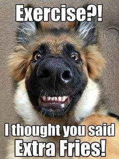 a german shepherd dog smiling with the caption exercise? i thought you said extra fries