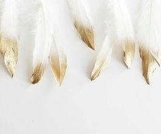 three white and gold feathers on a white surface