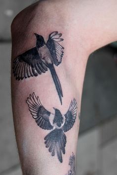 a tattoo on the arm of a man with two birds