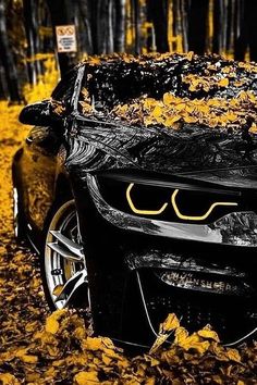 a car covered in yellow leaves parked on the side of a road with it's hood up