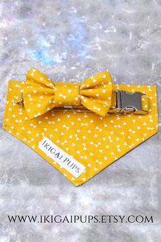 a yellow dog bow tie with white hearts on it and a metal collar tag that says rica plus