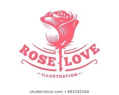 a rose flower with ribbon and lettering on the white background for your logo or emblem