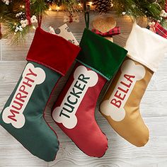 three christmas stockings hanging from a tree with dog bone and name tags on the stocking