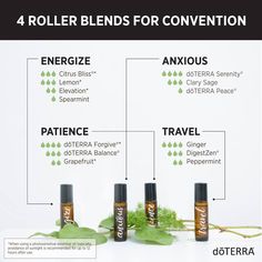 Keep calm and energized with these 4 Roller Blends for Convention! Roller Ball Recipes, Roller Ball Blends, Rollerball Recipes, Useful Diy Projects, Essential Oils Roller, Oil Roller Bottle Recipes, Essential Oil Rollers, Essential Oil Roller Bottle Recipes, Helichrysum Essential Oil