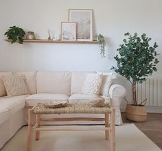 a living room with a white couch and some potted plants