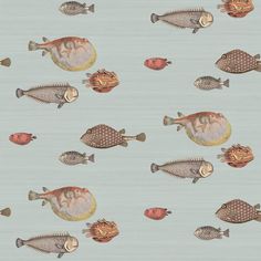 many different types of fish on a light blue background with gold trimmings and dots