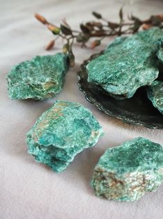 Fuchsite – Raw fuchsite chunk – The stone of intuition – Crystals https://etsy.me/3IMWNxF #tumbledstones #tumblestone #crystals #fuchsite #rawfuchsite #roughfuchsite #fuchsitechunks #fuchsitecrystal #lamagiska Intuition Crystals, Raw Crystals Aesthetic, Fuchsite Crystal Meaning, Fuchsite Crystal, Raw Aquamarine Crystal, Woo Woo, Raw Quartz Crystal, Raw Crystals