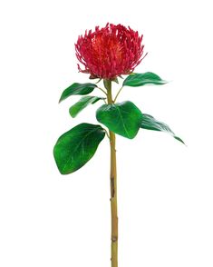 24.5" Artificial Protea Flower Stem Protea Flower, Realism, Hand Blown, Beauty