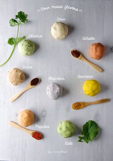 different types of spices and spoons on a white surface with the names of them