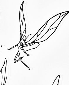 a black and white drawing of a flying insect